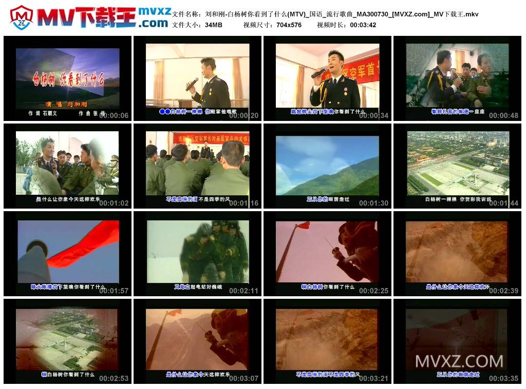 刘和刚-白杨树你看到了什么(MTV)_国语_流行歌曲_MA300730